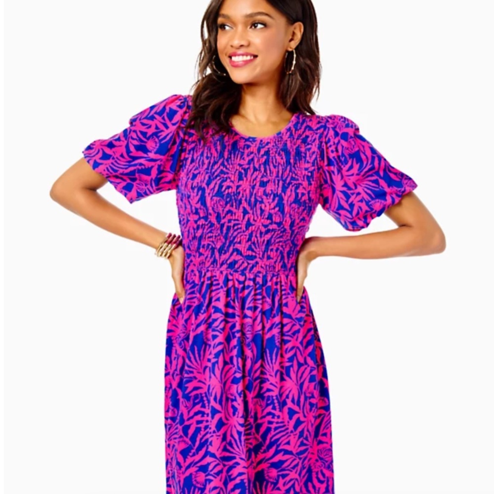 NWT Lilly Pulitzer Chrystelle Dress size small
